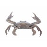 Large bronze crab