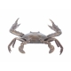 Grand crabe en bronze