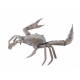 Grand crabe en bronze