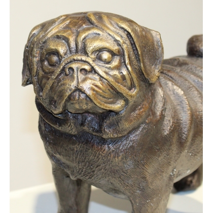 Bronze Pug