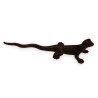 Brown bronze lizard