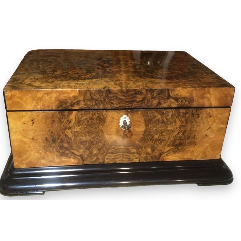 Rectangular box made from elm burl