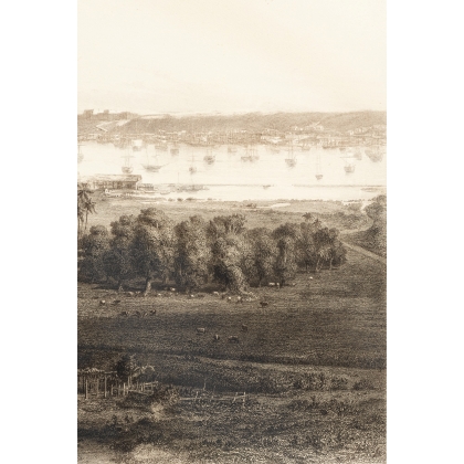 Engraving entitled ‘Panorama of Havana’ by WILLMANN