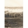 Engraving entitled ‘Panorama of Havana’ by WILLMANN