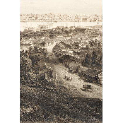 Engraving entitled ‘Panorama of Havana’ by WILLMANN