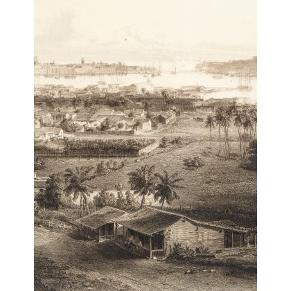Engraving entitled ‘Panorama of Havana’ by WILLMANN