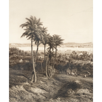Engraving entitled ‘Panorama of Havana’ by WILLMANN