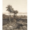 Engraving entitled ‘Panorama of Havana’ by WILLMANN