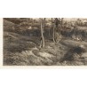 Engraving entitled ‘Panorama of Havana’ by WILLMANN