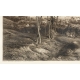 Gravure "Panorama de la Havane" par WILLMANN