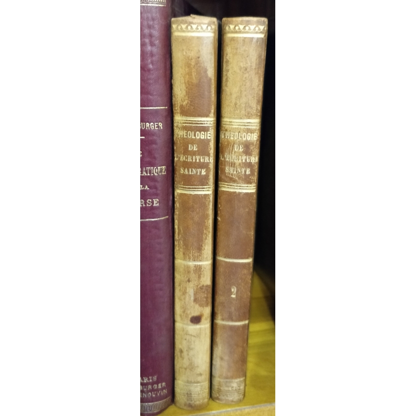 Book "Theology of Scripture" 2 Volumes