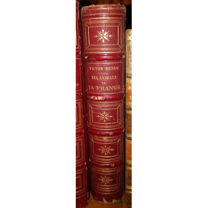 Livre \"Les animaux de la France\"
