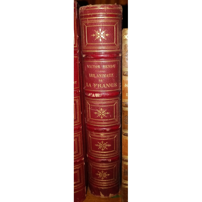 Buch "Die tiere von Frankreich",