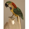 Perroquet en pierre multicolore et socle blanc