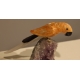 Perroquet en calcite orange et améthyste