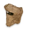 Quartz blanc a cristaux verts