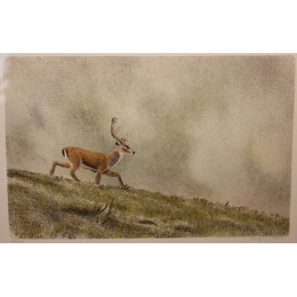 Gravure "Cerf" signée RIME