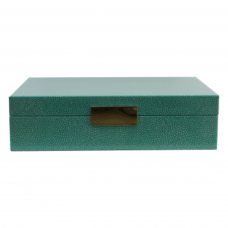 Box in green and silver imitation stingray leather