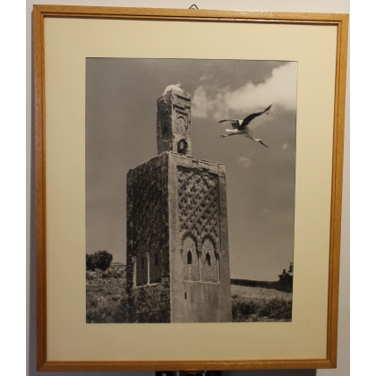 Photographie "Minaret de Chellah et cigogne"