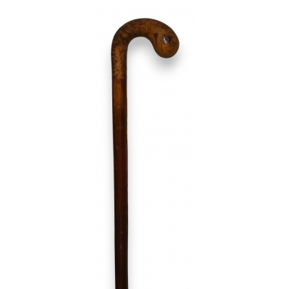 Walking stick with a curved burl handle