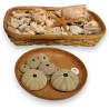 Collection of antique shells