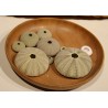 Collection of antique shells