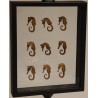 Coffret de collection Hippocampes sur pied