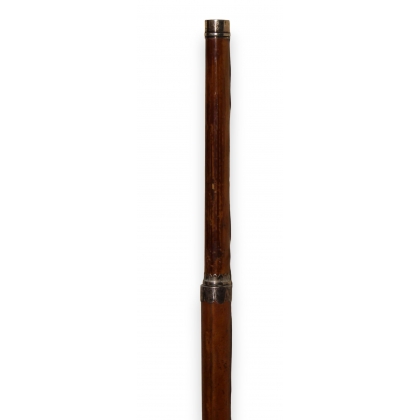 Dual-position walking stick