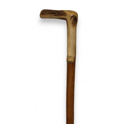 Walking stick with a stag-horn handle