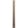 Canne pommeau en argent SW