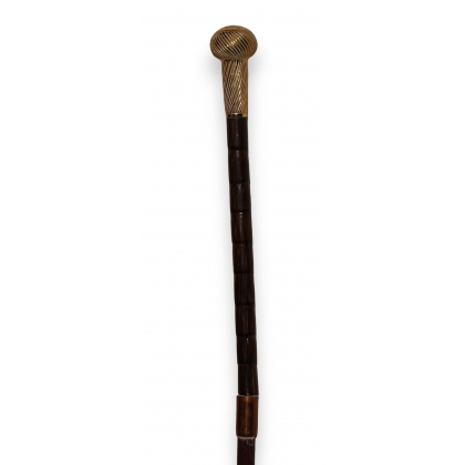Walking stick with a gold-coloured metal knob