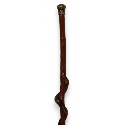 Serpent walking stick with brass knob