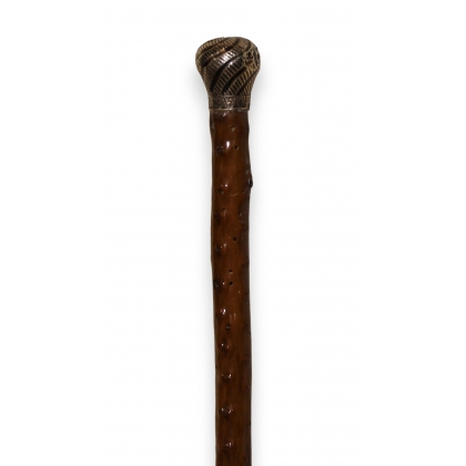 Silver-handled walking stick