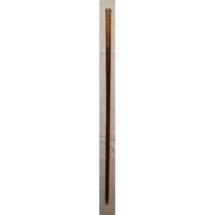 Canne pommeau en argent