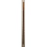 Canne pommeau en argent