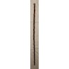 Canne pommeau en argent Croix