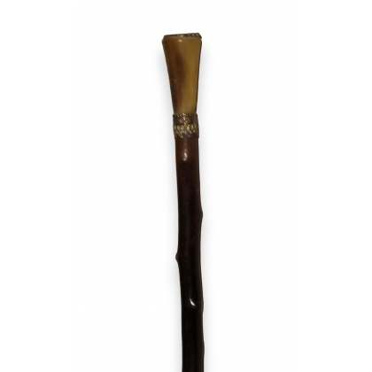 Walking stick with a horn and brass knob