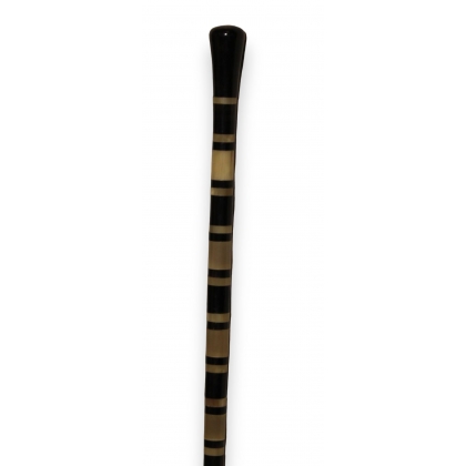 Cane made from slices of horn