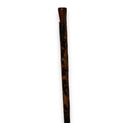 Walking stick with a wooden knob