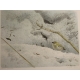 Gravure "Roitelet huppé en hiver" signée RIME