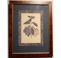 English engraving "Flowers", frame magnifying glass