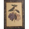 Gravure anglaise "Fleurs", cadre en loupe
