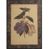 Gravure anglaise "Fleurs", cadre en loupe