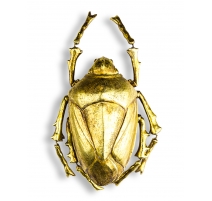 Décoration murale "Scarabée" doré
