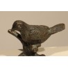 Bronze bird on a branch