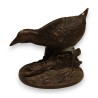 Bronze water hen