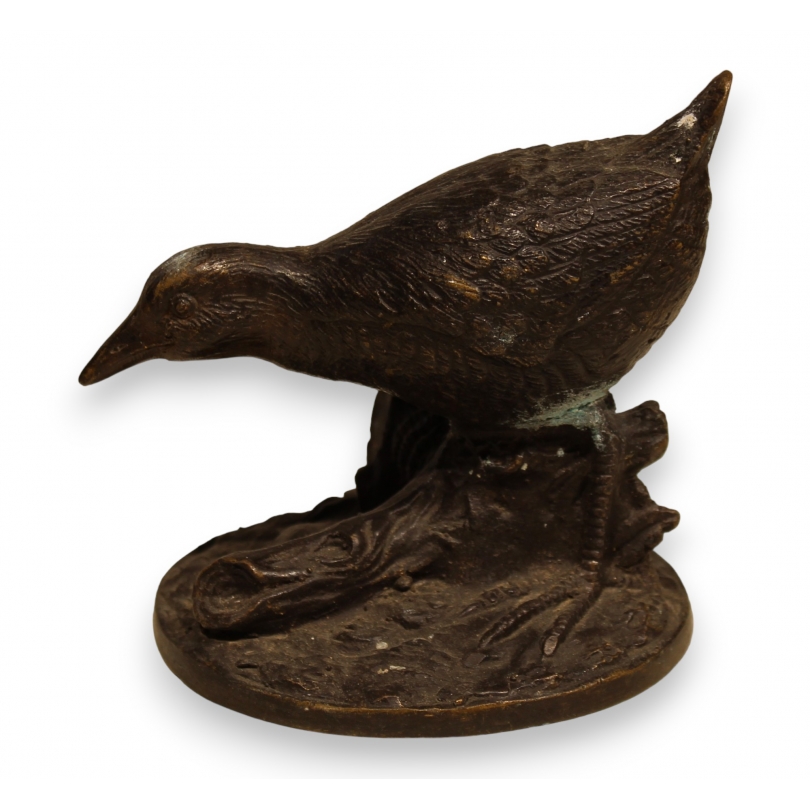 Poule d'eau en bronze