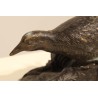Bronze water hen