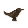 Bronze sparrow