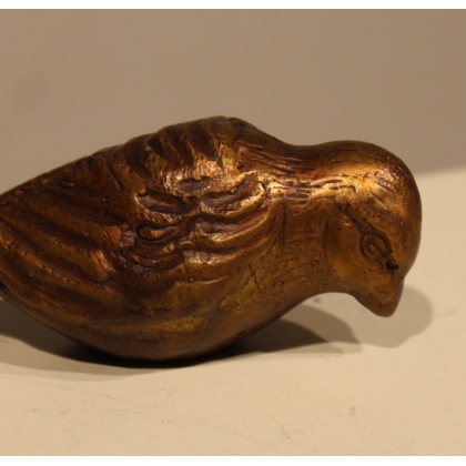 Bronze sparrow